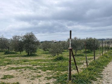 Rural land for sale in Mas Rahola