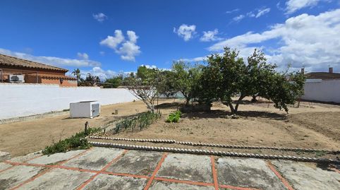 Photo 3 of Residential for sale in Pelagatos - Pago del Humo, Chiclana de la Frontera