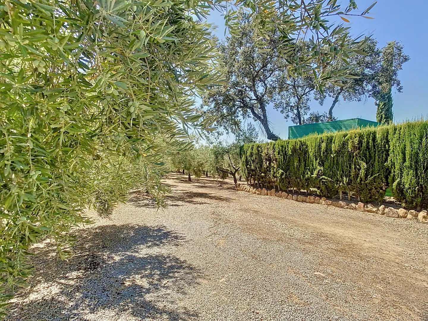 Casa o chalet en venta en Adamuz, Spain, 258, Adamuz