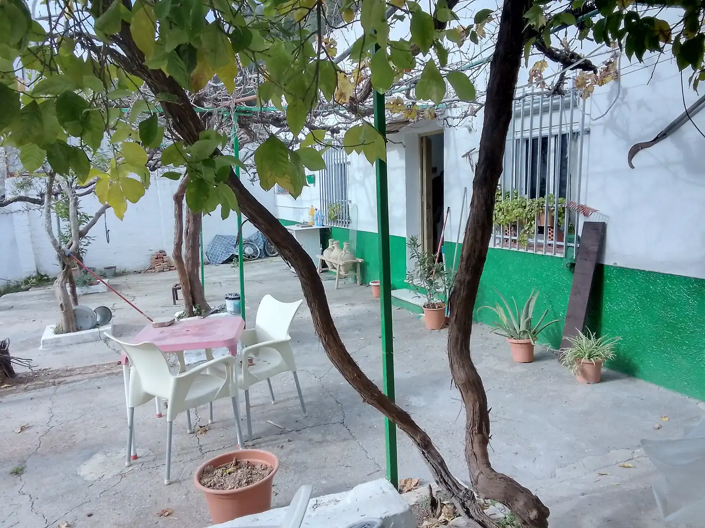 Casa rústica amb jardí en venda a Benaocaz, imagen 16