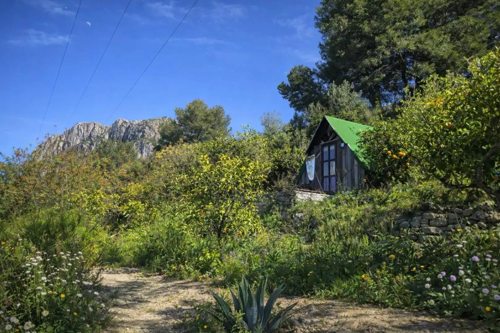 Rural land for sale in Carrer Trinquet 7