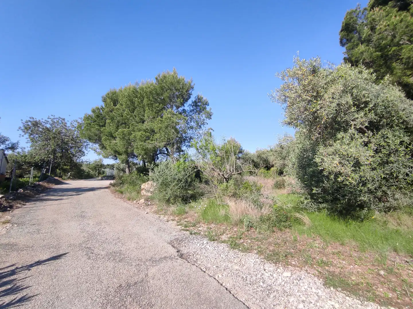 Rural land for sale in Alcanar, imagen 5