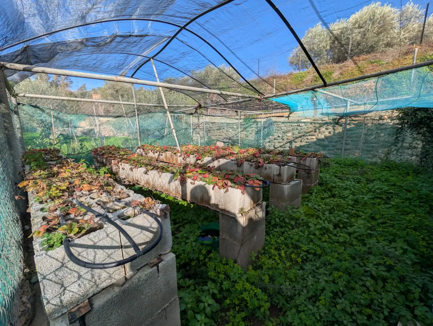 Casa rústica amb piscina en venda a Órgiva, imagen 32
