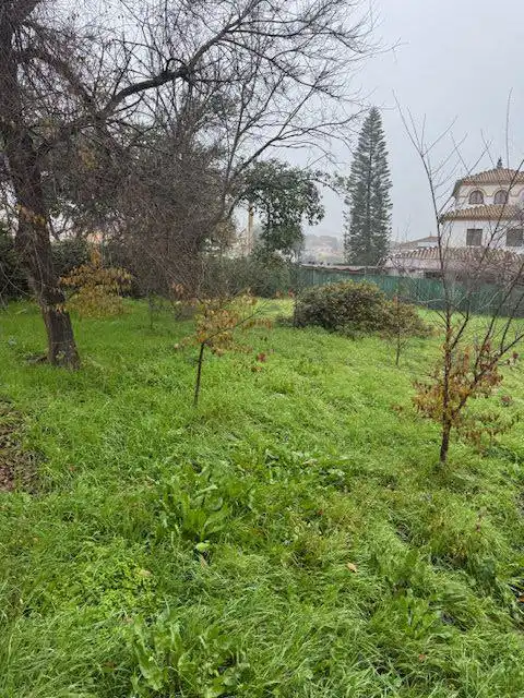 Terreno residenziale in vendita a Alcaudon, imagen 3