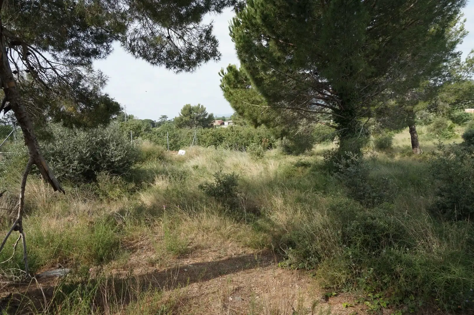 Maison rustique à vendre à Les Borges del Camp, imagen 14