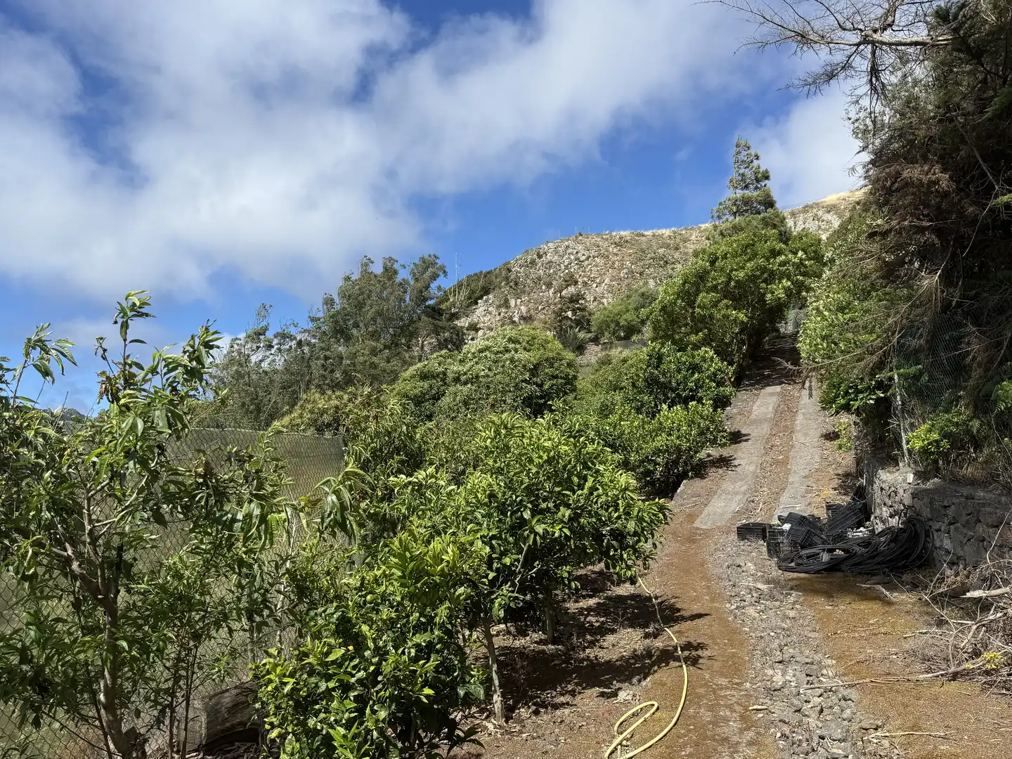 Rural land for sale in Tegueste, imagen 39