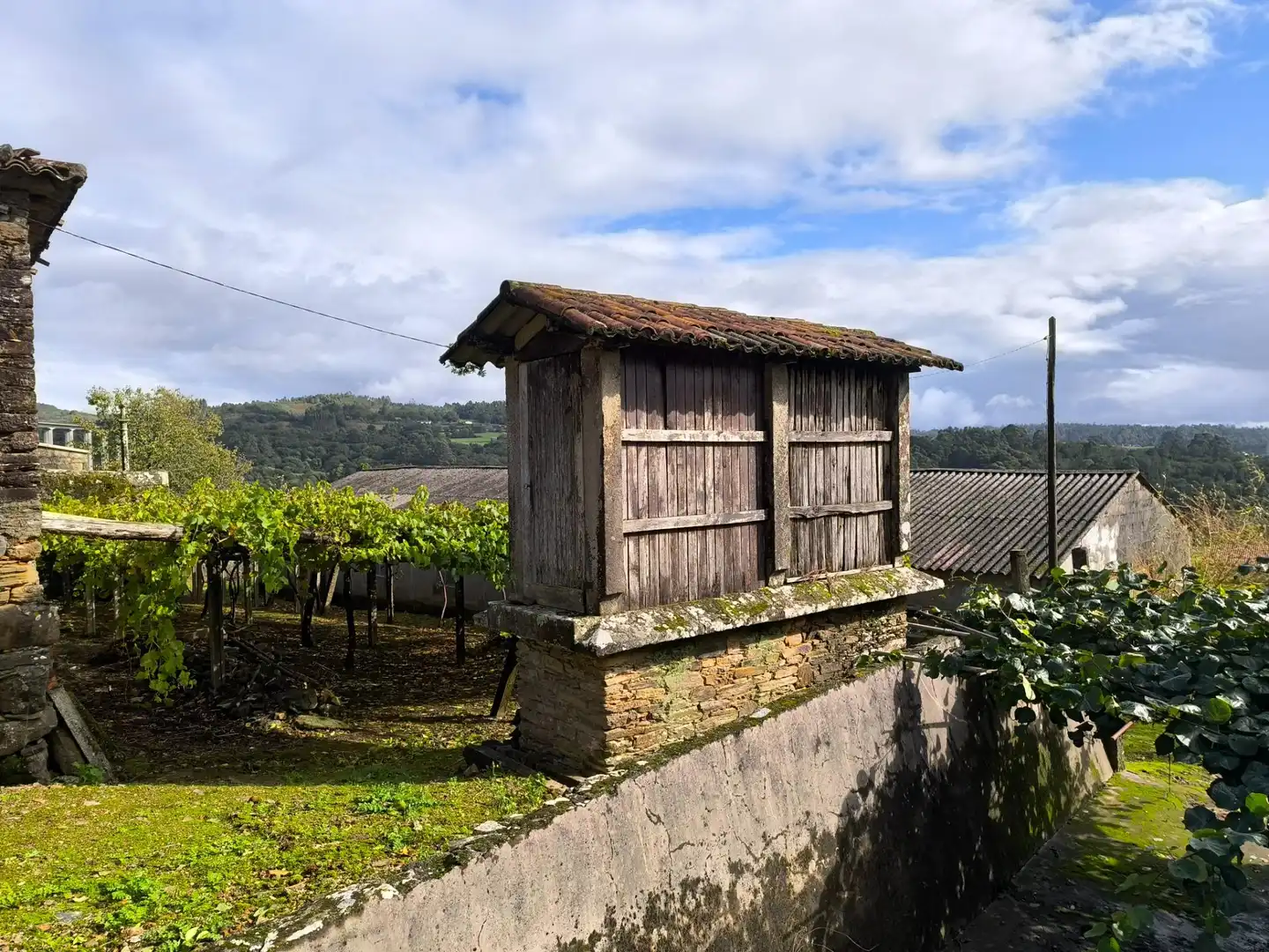 Vista exterior de Casa o chalet en venta en Santiago de Compostela  con Jardín privado
