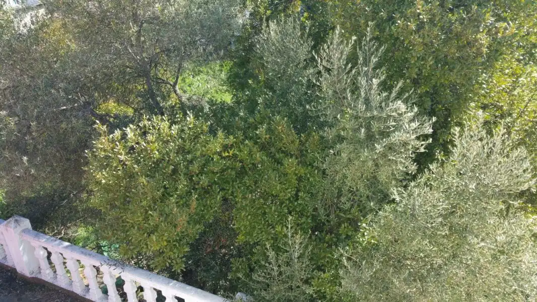 Terraza de Finca rústica en venta en Ponferrada con Calefacción, Jardín privado y Terraza