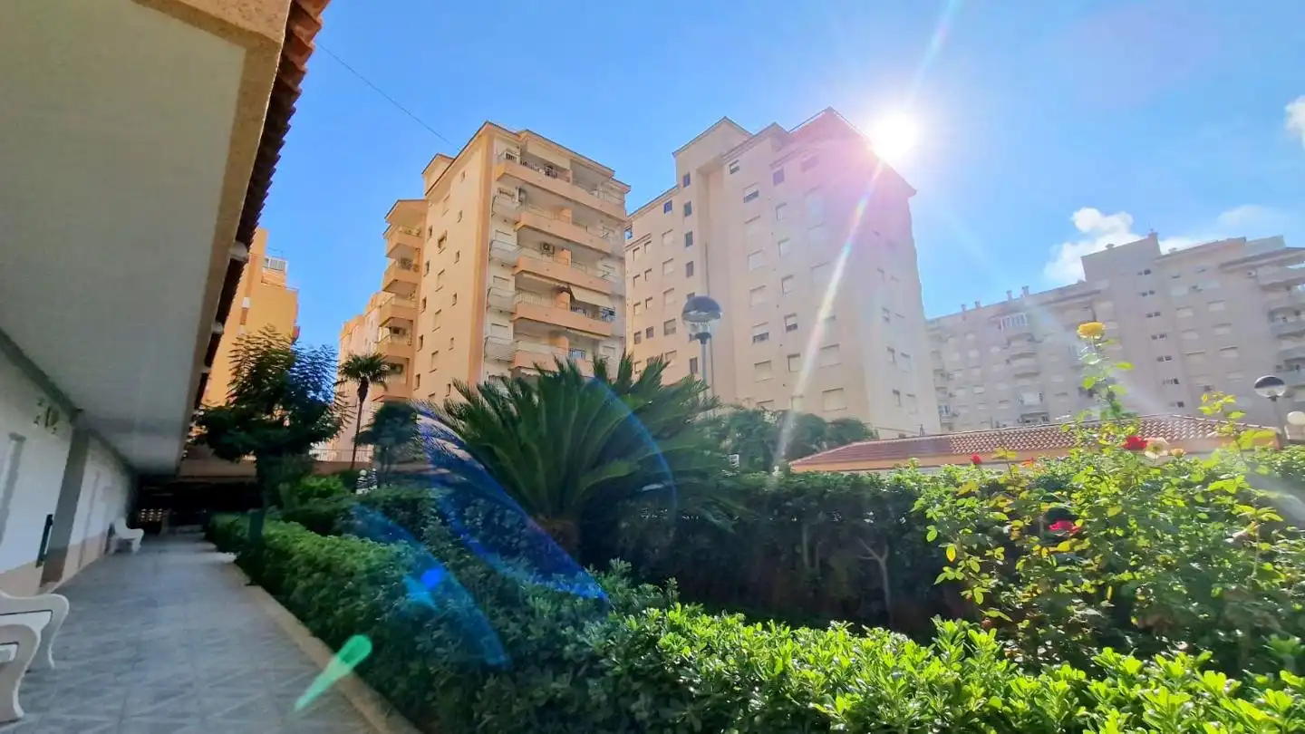 Apartments for rent in Rosa De Los Vientos, 46, Playa de Gandia