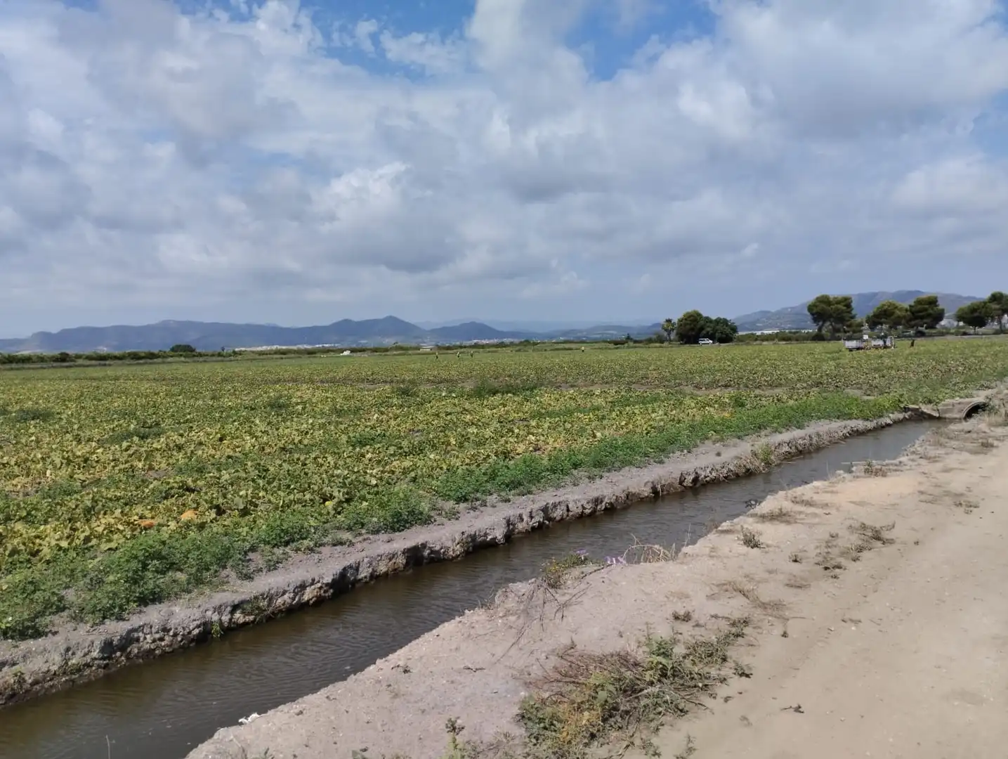 Rural land for sale in N/A, imagen 33