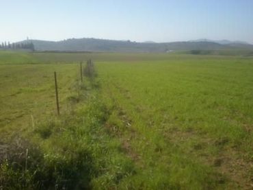 Terreny residencial en venda a Belmez