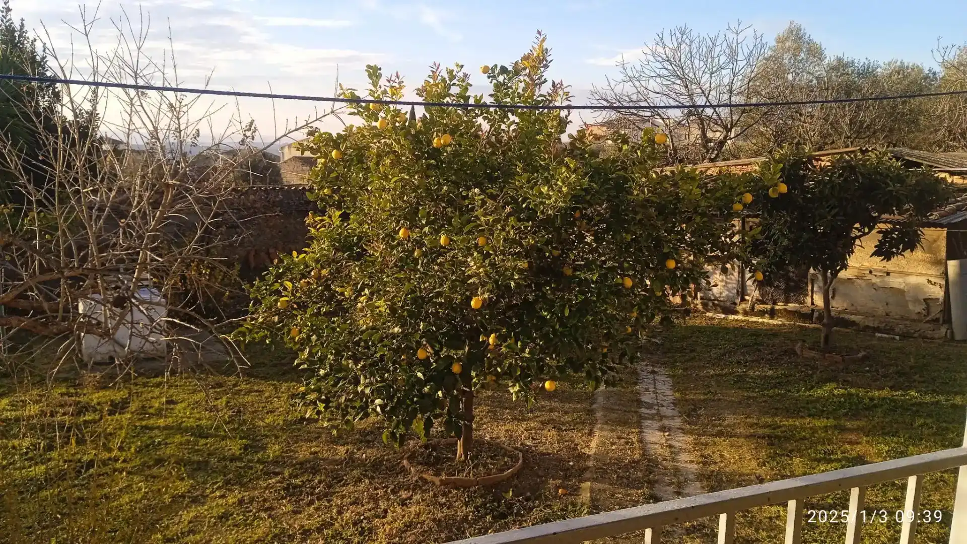 Jardí de Casa adosada en venda en Cañaveral amb Aire condicionat