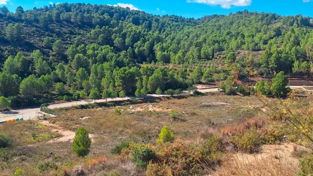 Terreno residencial en venta en Carrer dels Ametlers, imagen 5