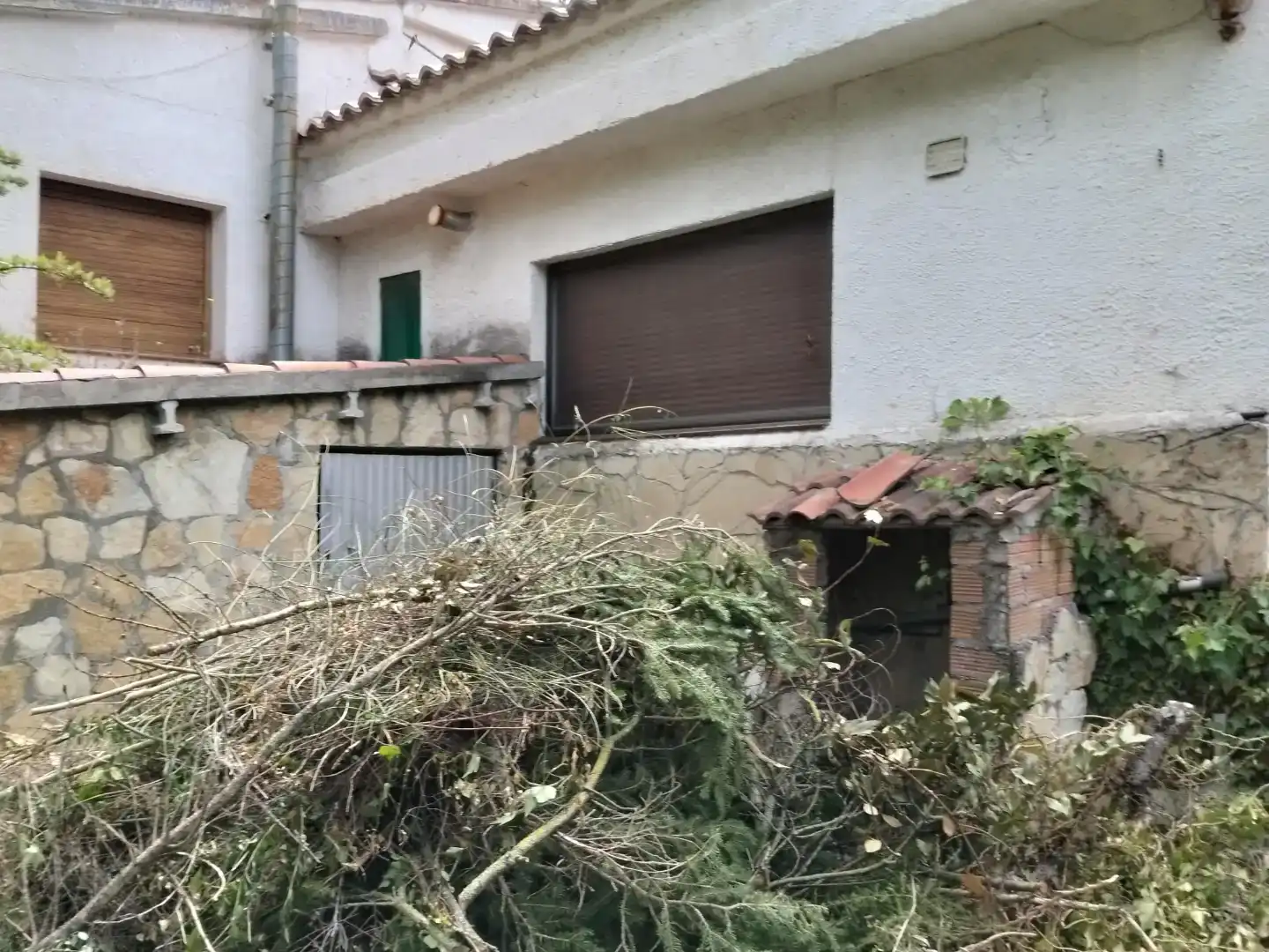Vista exterior de Casa o chalet en venta en Vila-rodona, Tarragona