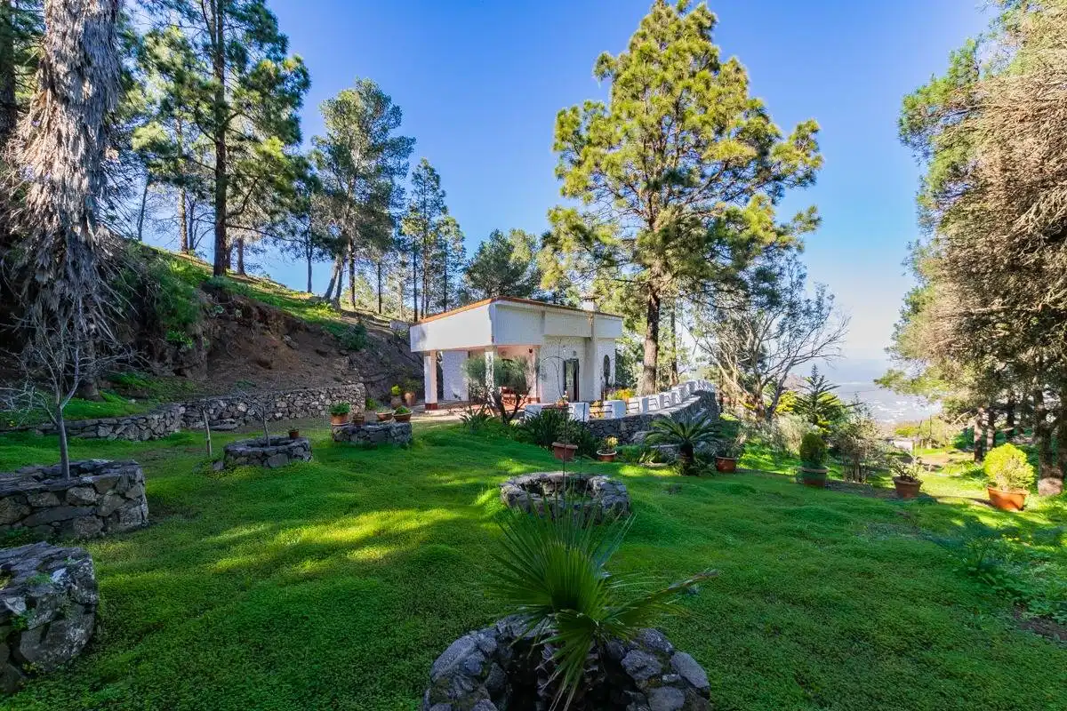 Jardí de Casa o xalet en venda en Telde amb Jardí privat