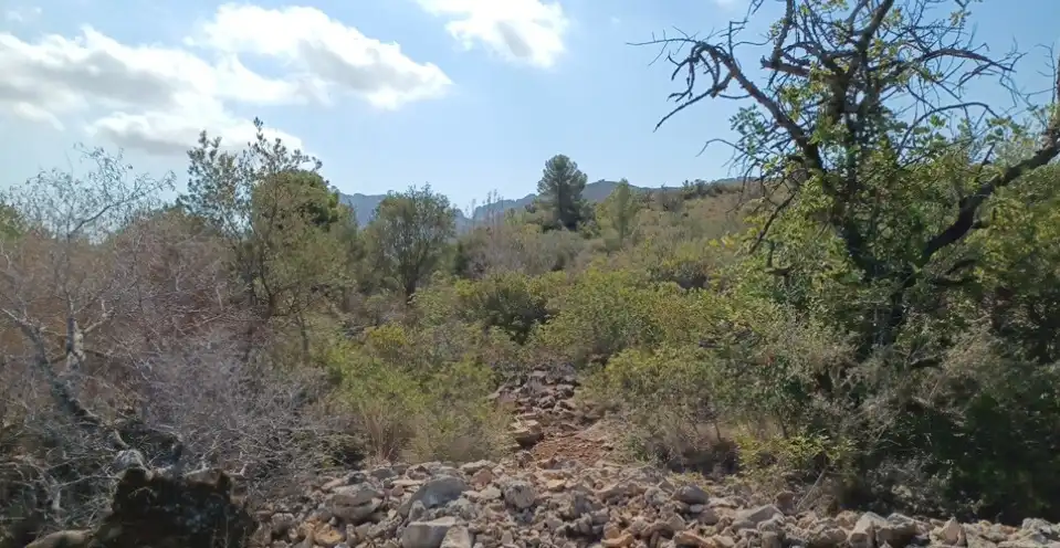 Terreny rústic en venda a El Ràfol d'Almúnia, imagen 6