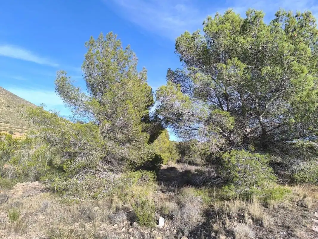 Rural land for sale in Poligono 4, parcela 190, imagen 2