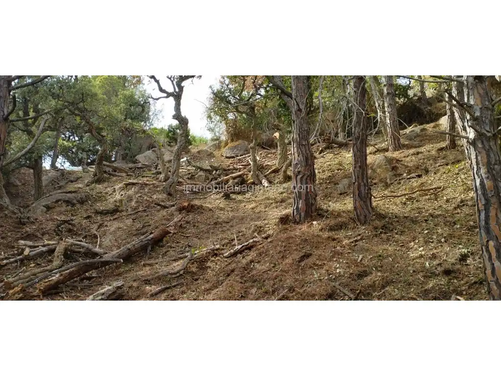 Wohnbaugrundstück zum Verkauf in Roca Grossa, imagen 8