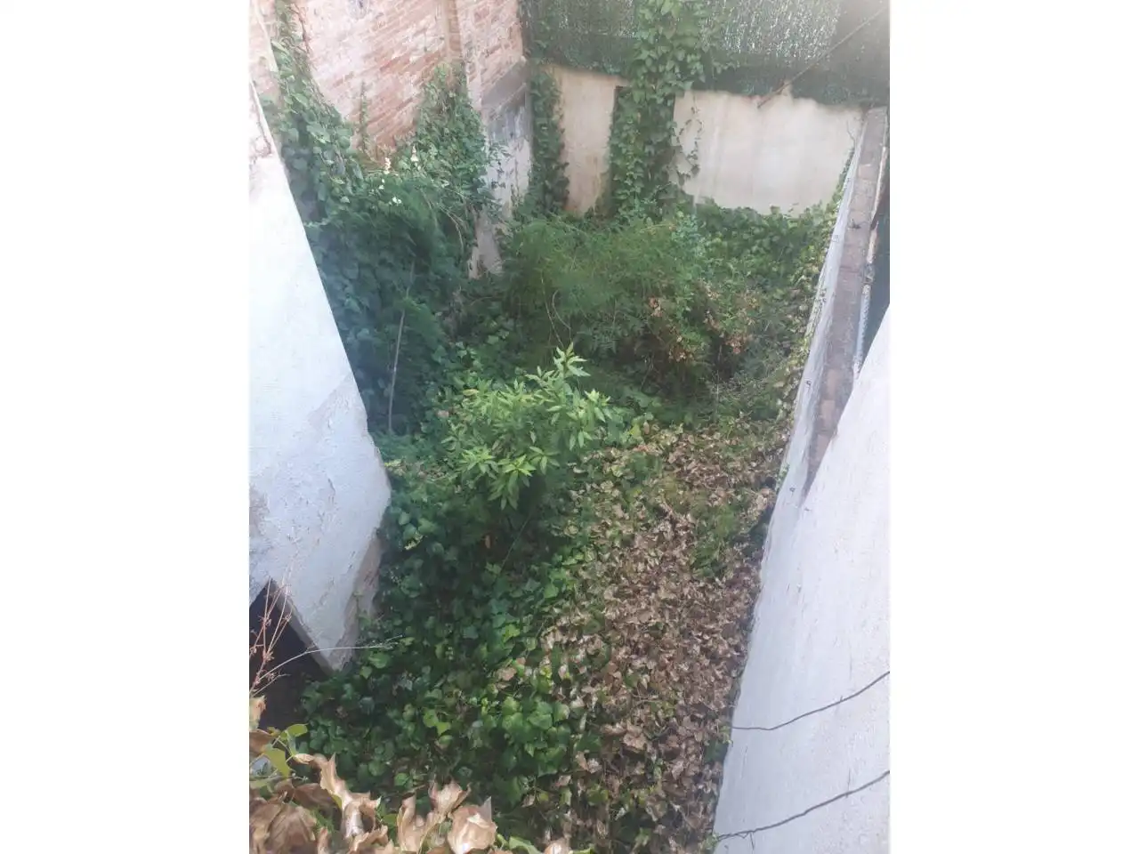 Casa con jardín en venta en Via Massagué