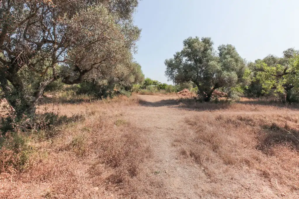 Rural land for sale in C/ Roquetes, imagen 19
