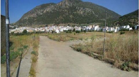 AMPLIO TERRENO URBANO NO CONSOLIDADO  ALGODONALES, immagine 4