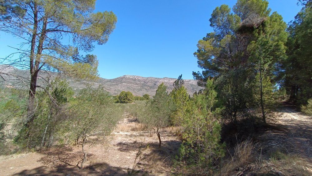 Residencial en venda en Gaianes