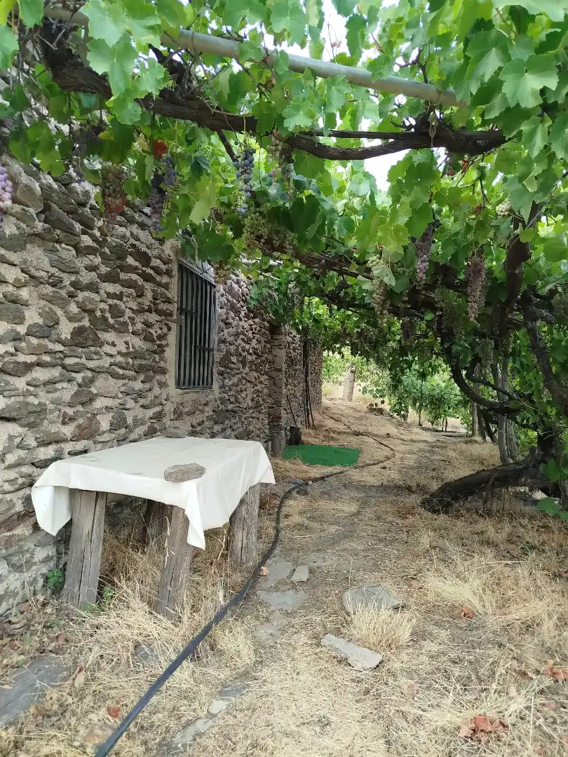 Rural land for sale in Alpujarra de la Sierra, imagen 2