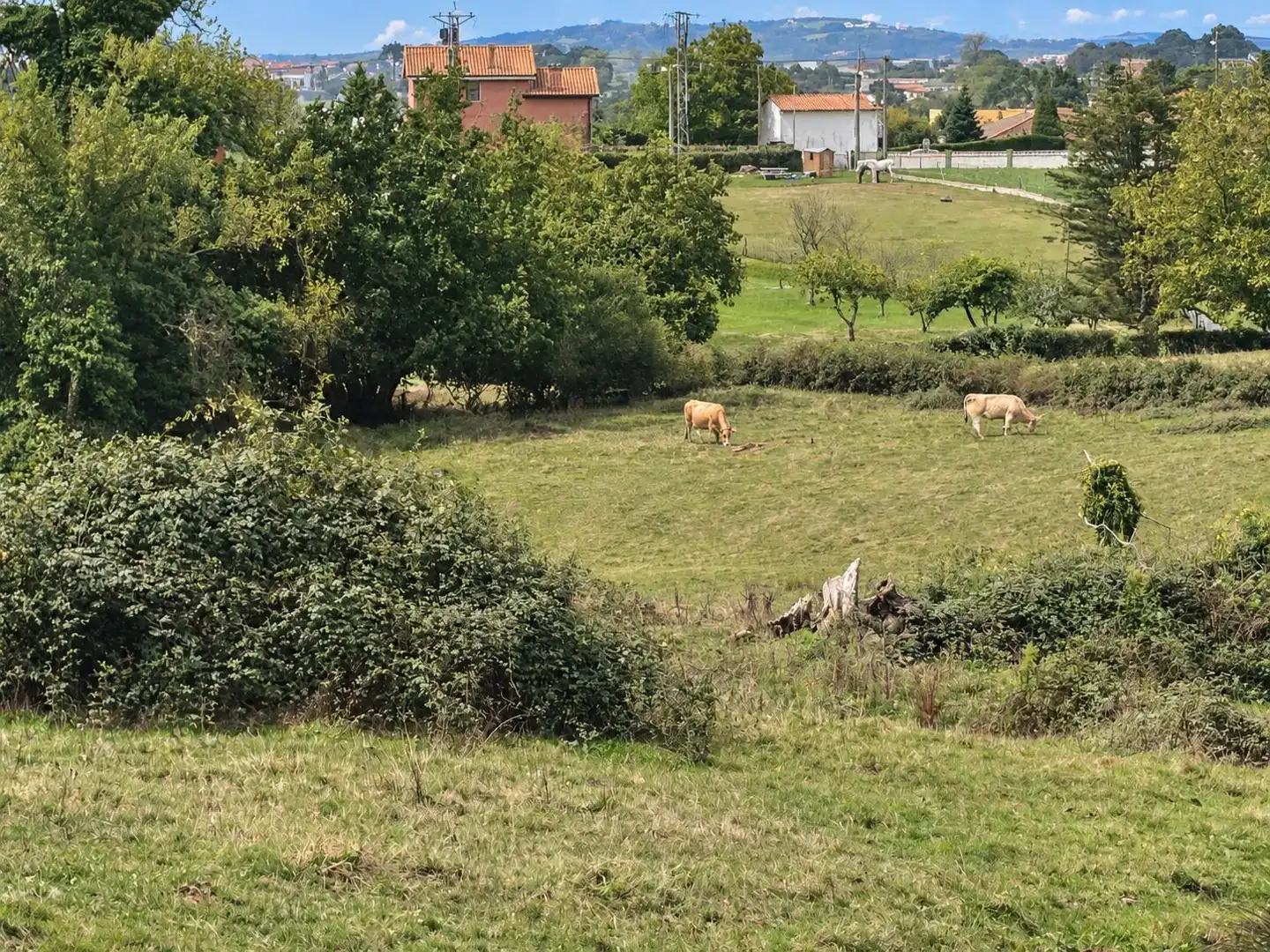 Wohnbaugrundstück zum Verkauf in La Pola de Siero 58, imagen 16