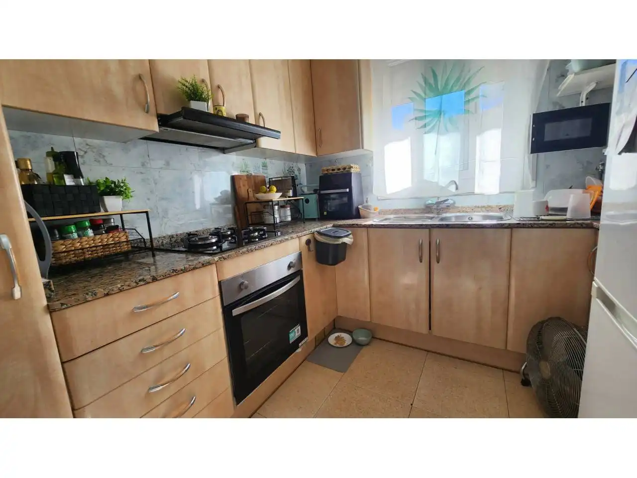Casa amb jardí en venda a Camino Vell de la Bauma, imagen 11