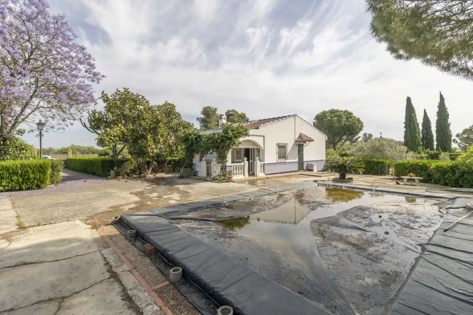 Jardín de Casa o chalet en venta en Carmona con Piscina