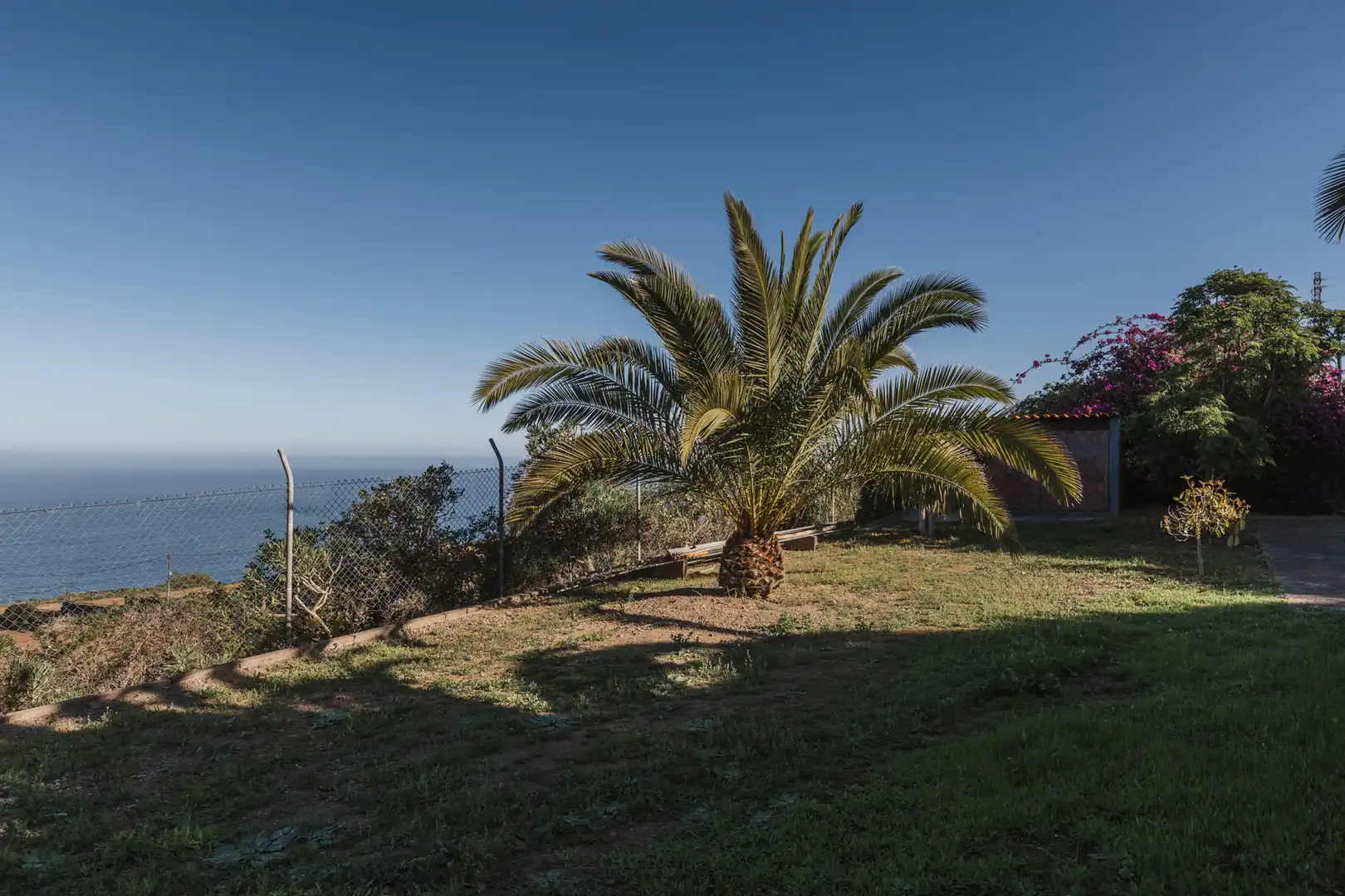 Jardí de Casa o xalet en venda en San Juan de la Rambla amb Jardí privat, Parquet i Terrassa