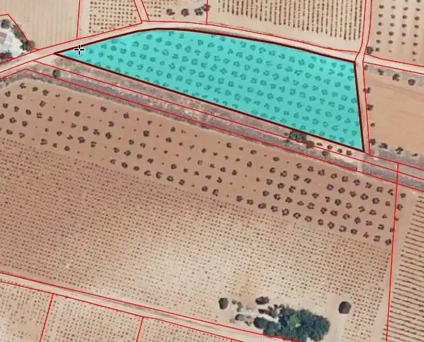 Lands and plots for sale in Valdepeñas, imagen 16