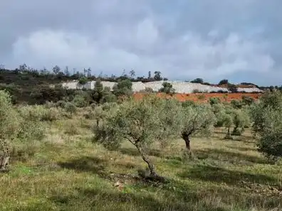 Lands and plots for sale in Castuera, imagen 6