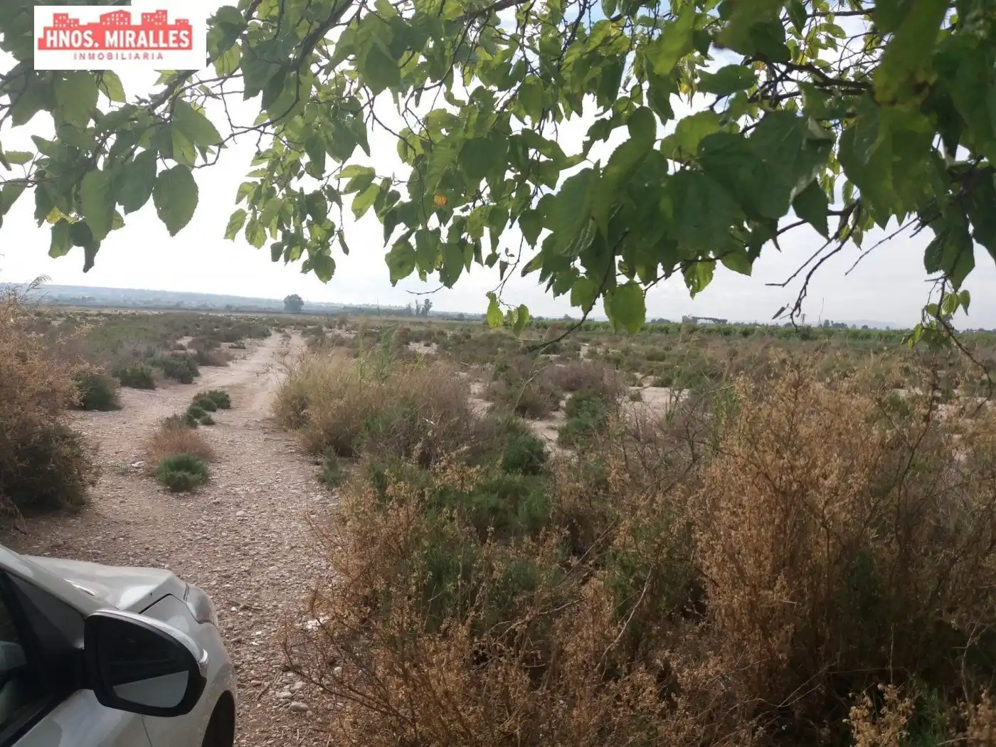Finca rústica en venta en Elche / Elx