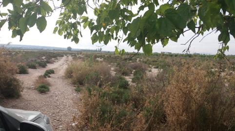 Photo 2 of Country house for sale in Algorós - El Derramador, Alicante