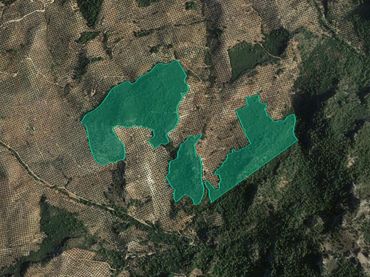 Terreny rústic en venda a Ptda Huerta del Cura - Polígono 42 -