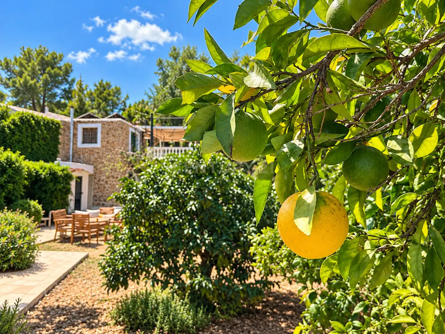 Casa con terraza en venta en Camí de Bellmunt, Sant Joan de Labritja, Spain 6, imagen 6