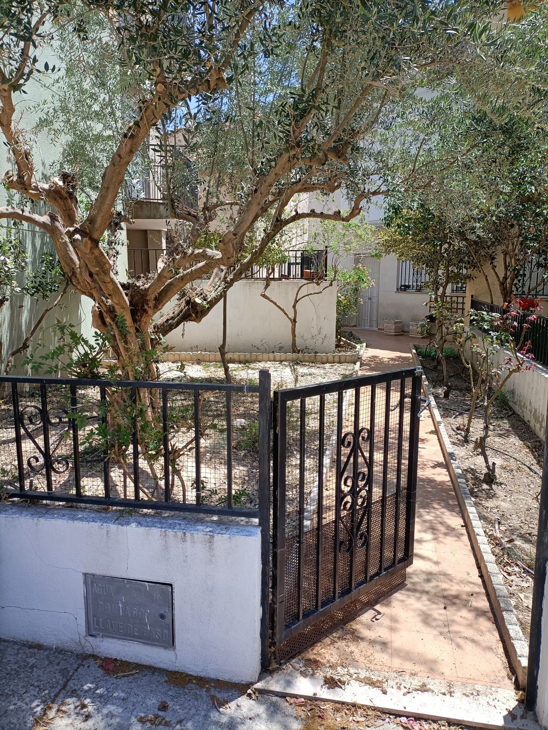 Garden of Single-family semi-detached for sale in Caudiel  with Heating, Private garden and Terrace