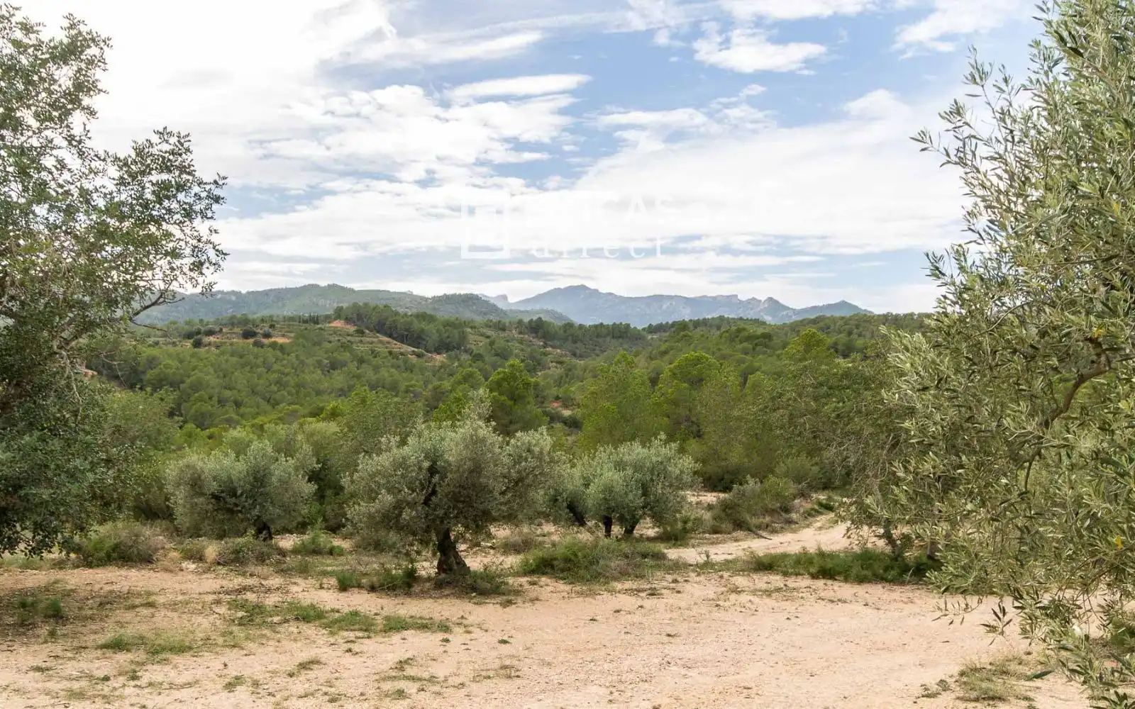 Finca rústica en venta en Benifallet con Trastero y Amueblado