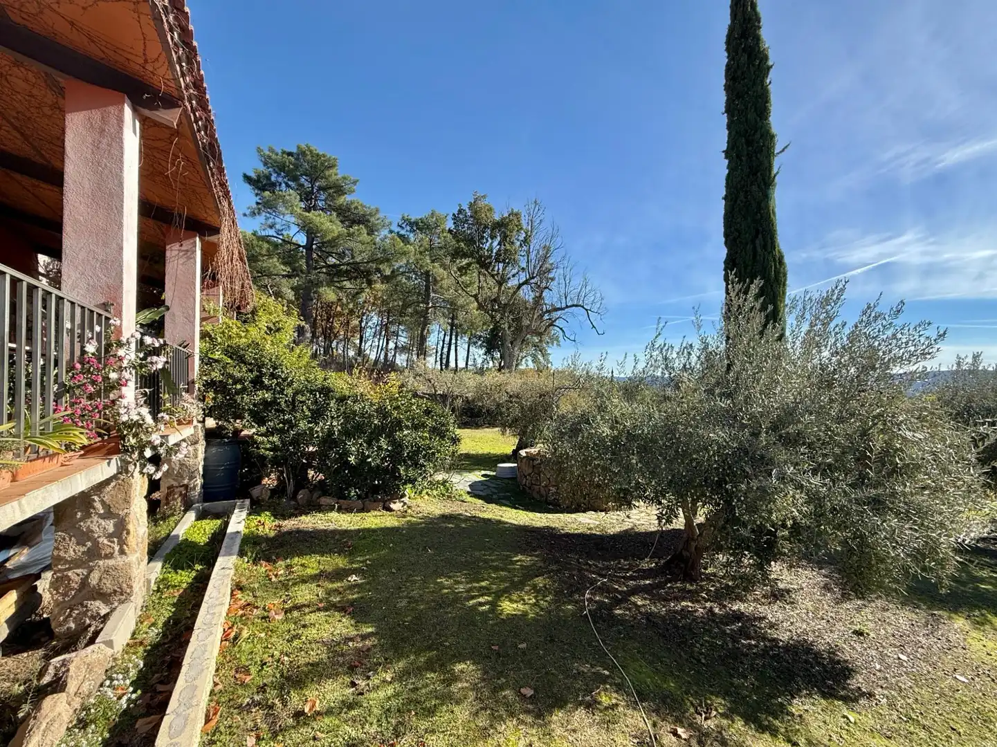 Jardín de Finca rústica en venta en Piedralaves con Jardín privado, Terraza y Trastero