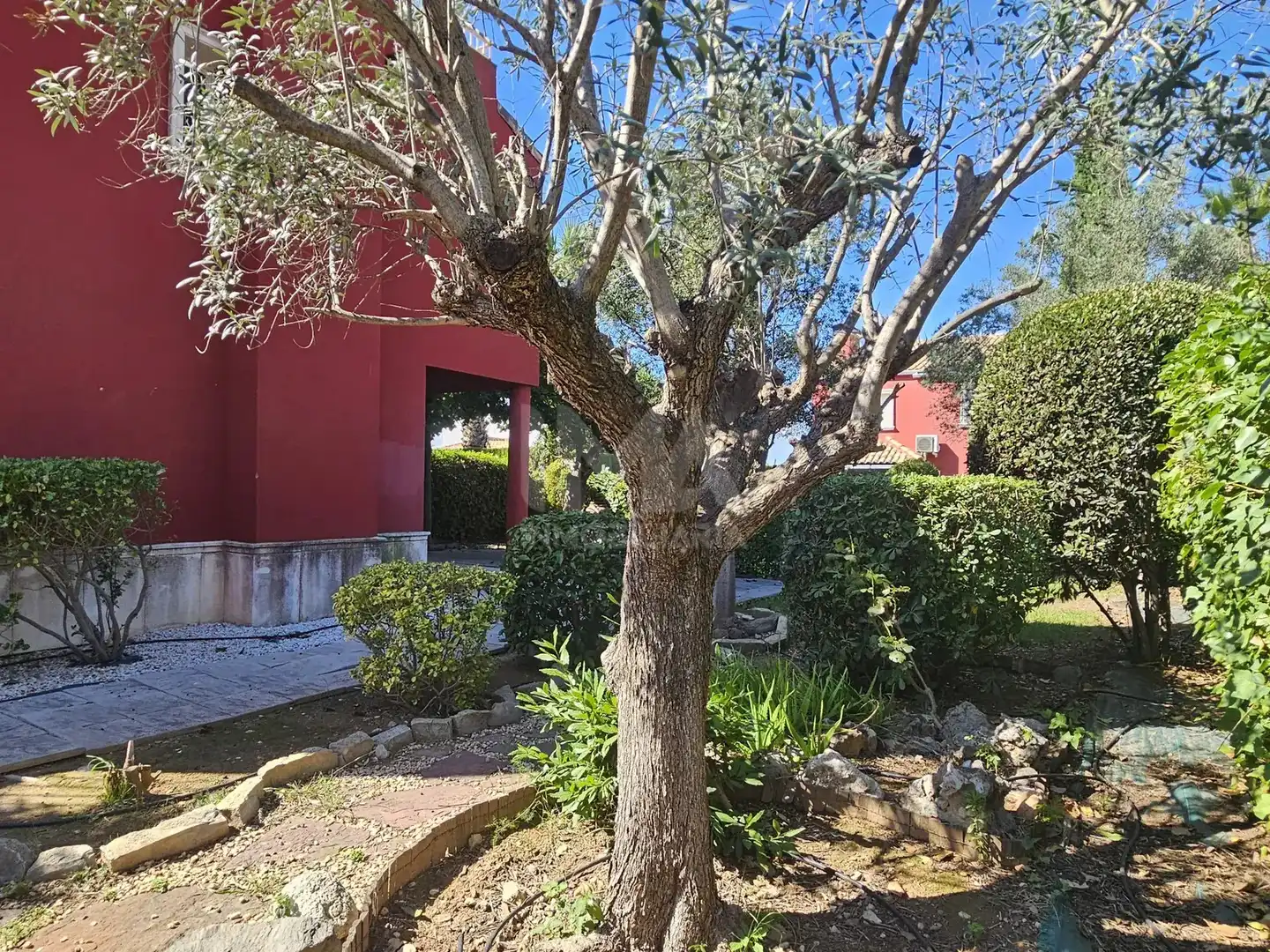 Jardín de Casa adosada en venta en Montealegre 