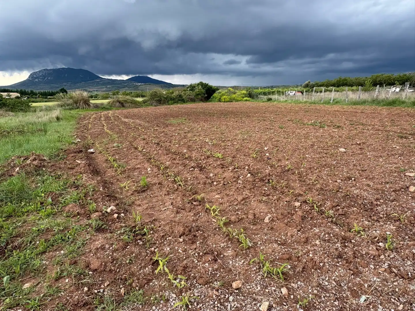 Terrenys i solars en venda a Alberite, imagen 2