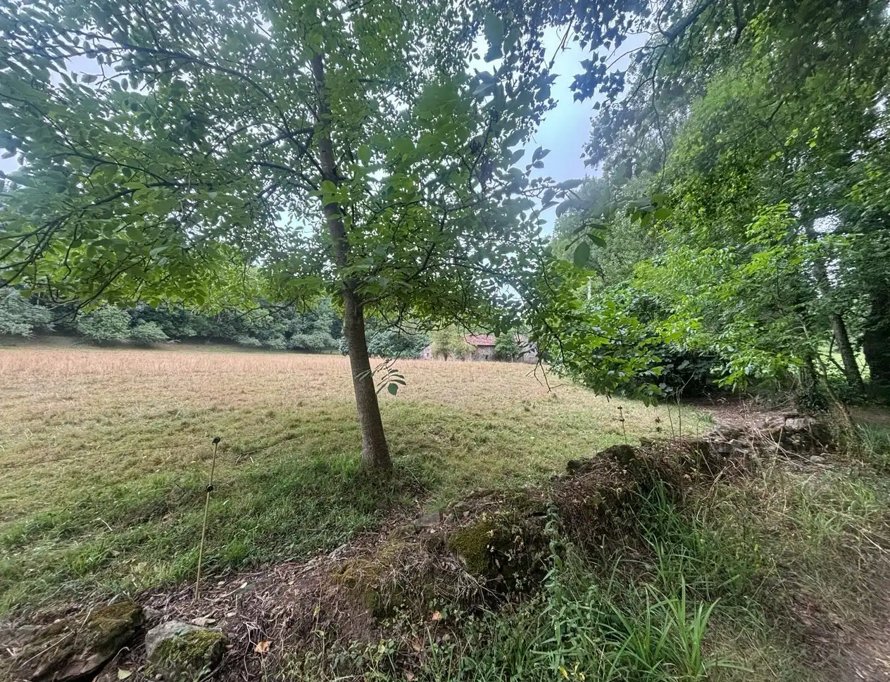 Finca rústica en venda en Gijón  amb Jardí privat