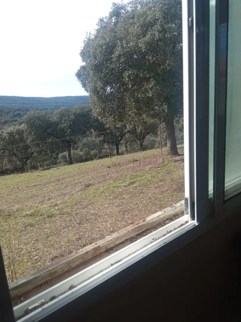 Land for sale in Cardeña