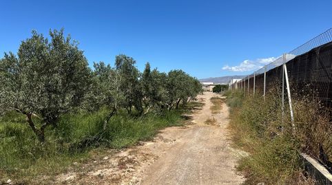 Foto 4 de Finca rústica en venda a San Isidro - Campohermoso, Níjar