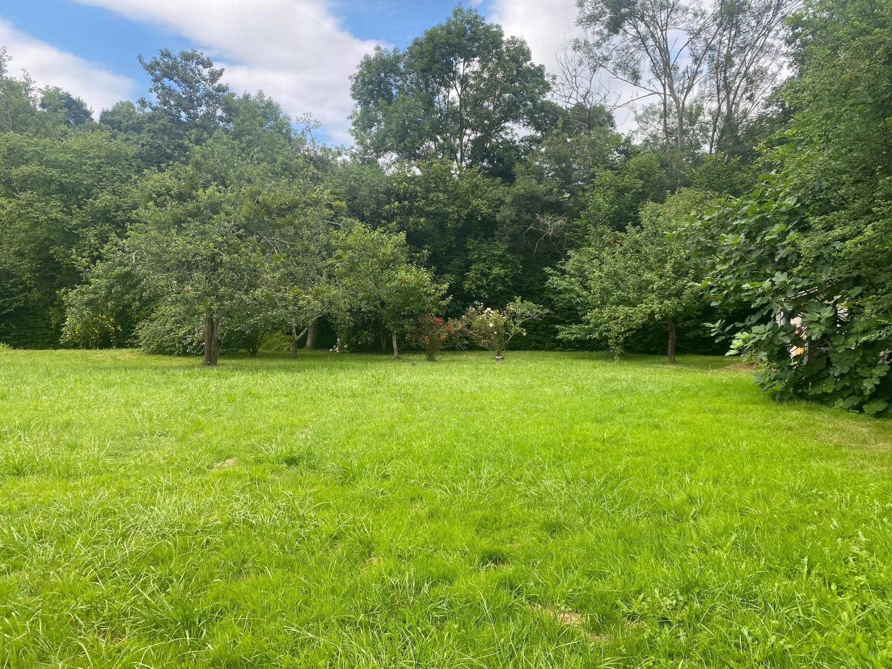 Country house for sale in Gijón 