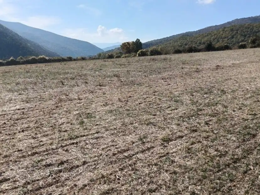 Terreni e lotti in vendita a calle alta, imagen 14