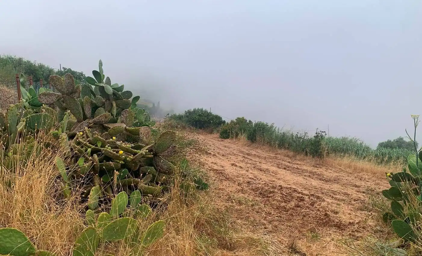 Finca rústica en venta en Gáldar con Trastero