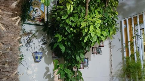 Foto 3 de Casa adosada en venta en Calle Cuerda, Torralba de Calatrava, Ciudad Real