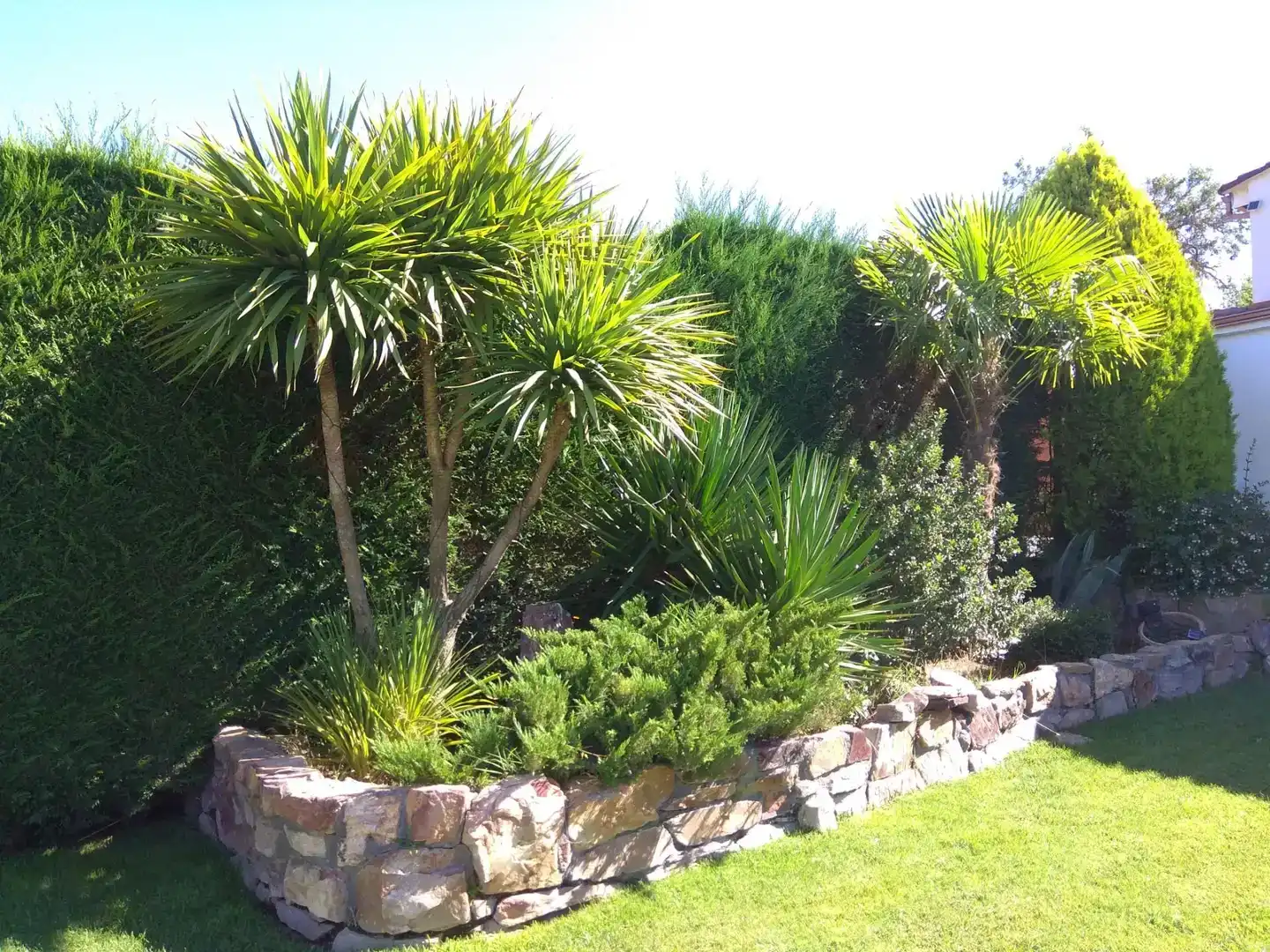 Jardí de Casa o xalet en venda en San Cebrián de Castro amb Jardí privat, Traster i Moblat